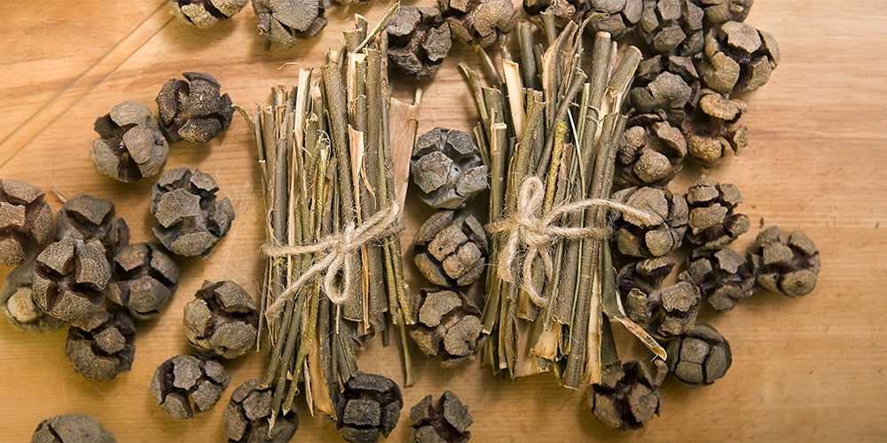 White Willow Bark Extract