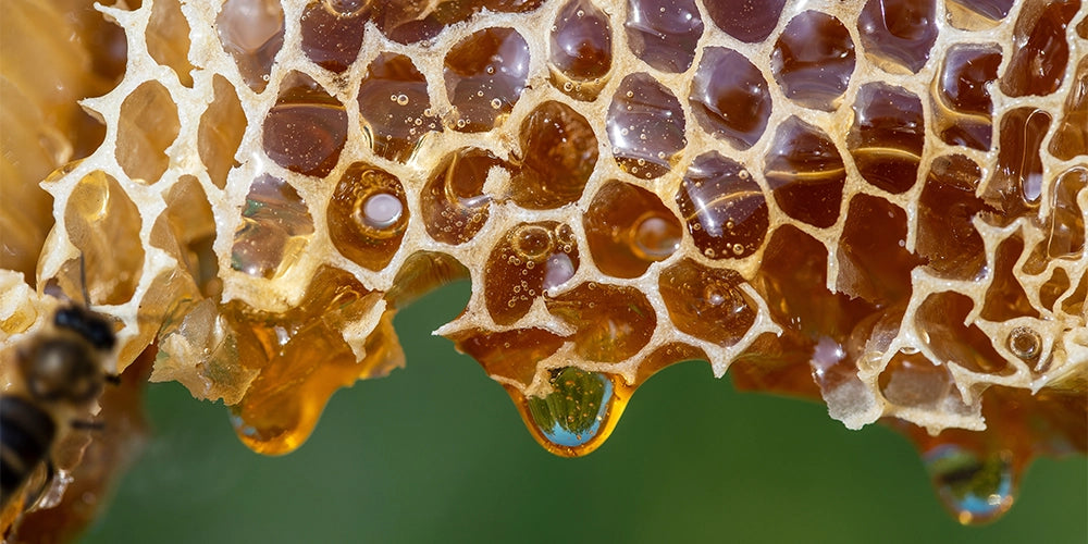 natural exfoliant
